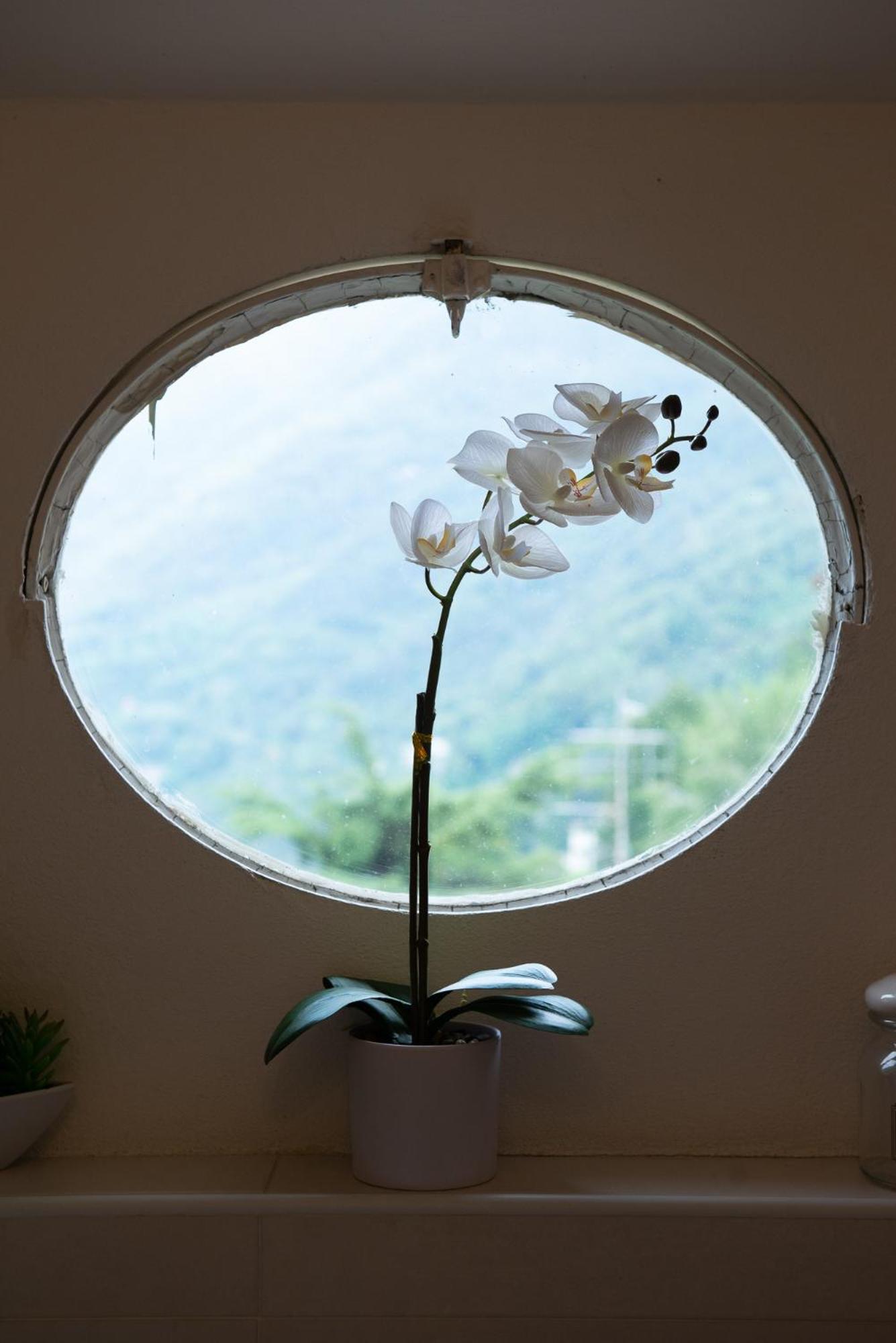 Appartamento "Bella Vista" Sul Lago Di Como Faggeto Lario Exteriör bild